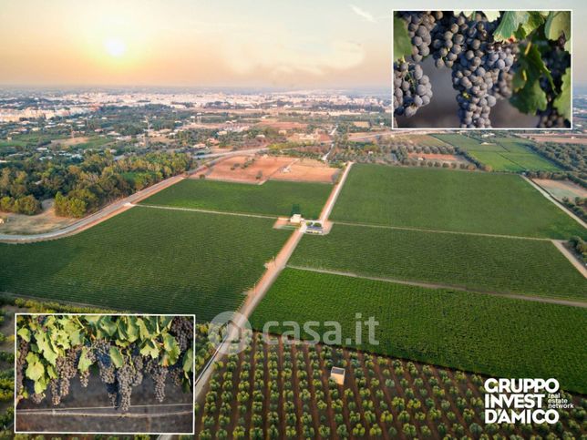 Terreno agricolo in commerciale in Contrada la Franca