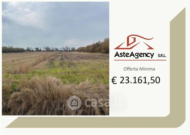 Terreno agricolo in commerciale in Borgo San Pietro