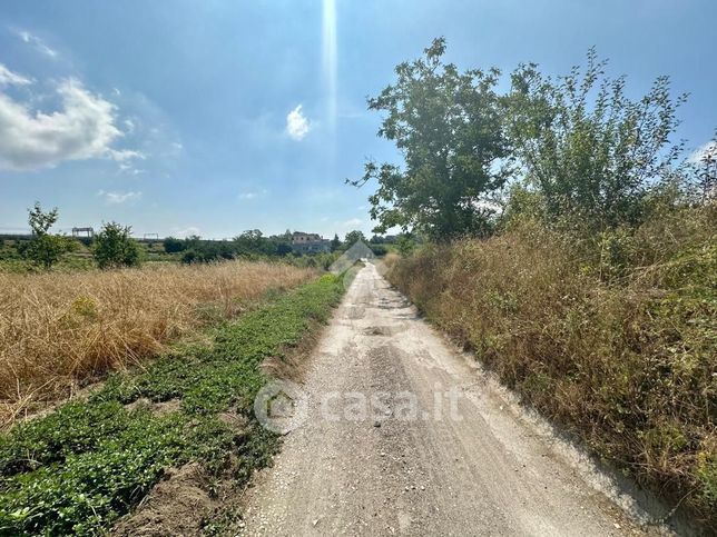 Terreno agricolo in commerciale in Cupa Vecchia Napoli 2