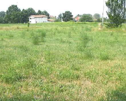 Terreno agricolo in commerciale in Via Statale