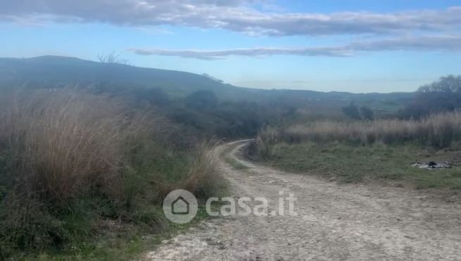 Terreno agricolo in commerciale in Via delle Betulle