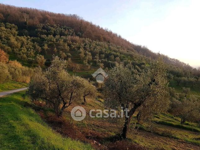 Terreno agricolo in commerciale in Via Poggio alla Guardia