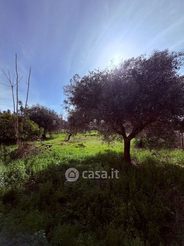 Terreno agricolo in commerciale in Via Settevene Palo