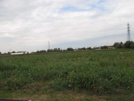 Terreno agricolo in commerciale in Via Milano