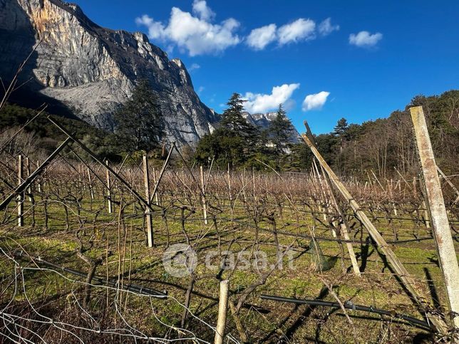 Terreno agricolo in commerciale in fies