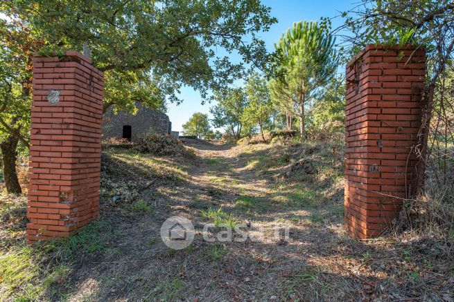 Terreno agricolo in commerciale in Via Carpene 10