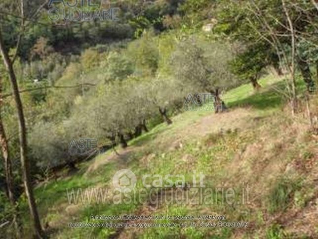 Terreno agricolo in commerciale in 