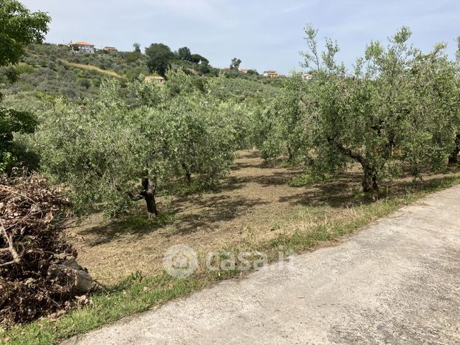 Terreno agricolo in commerciale in 