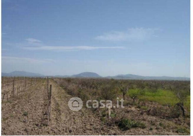 Terreno edificabile in residenziale in Strada Senza Nome