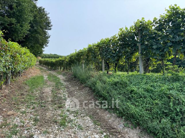 Terreno agricolo in commerciale in Strada Bucoliche