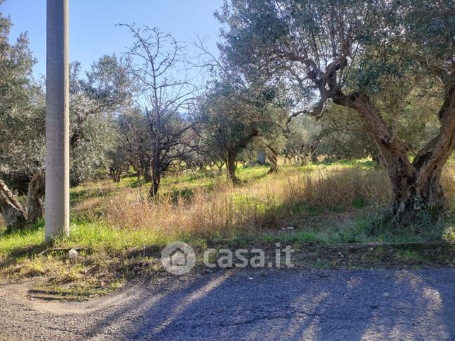 Terreno agricolo in commerciale in donnici