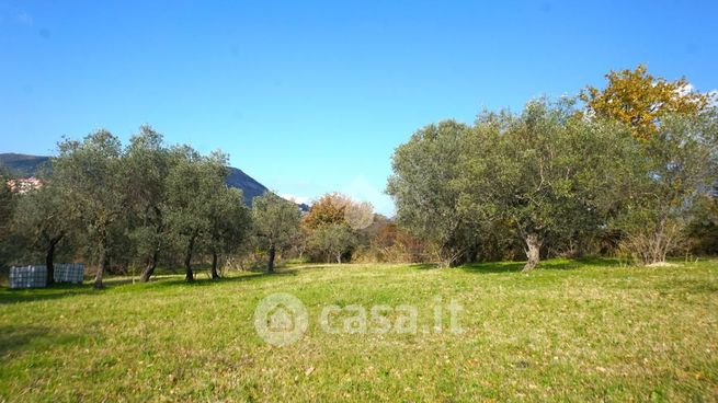 Terreno agricolo in commerciale in Contrada Pezze