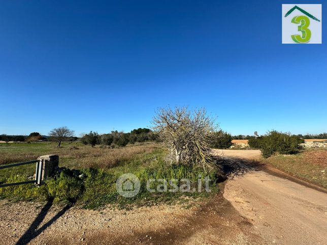 Terreno agricolo in commerciale in Strada Comunale le Matine 18