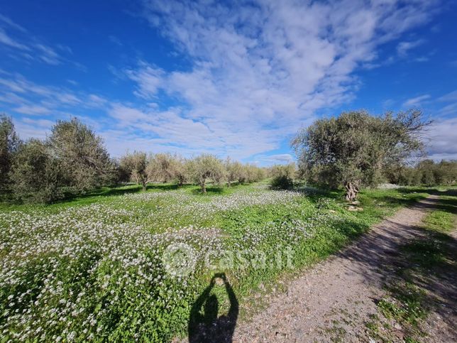 Terreno agricolo in commerciale in Via Margarone