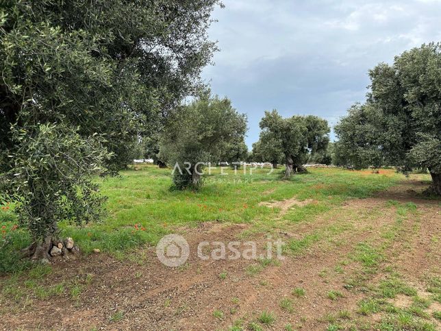 Terreno agricolo in commerciale in Contrada Losciale