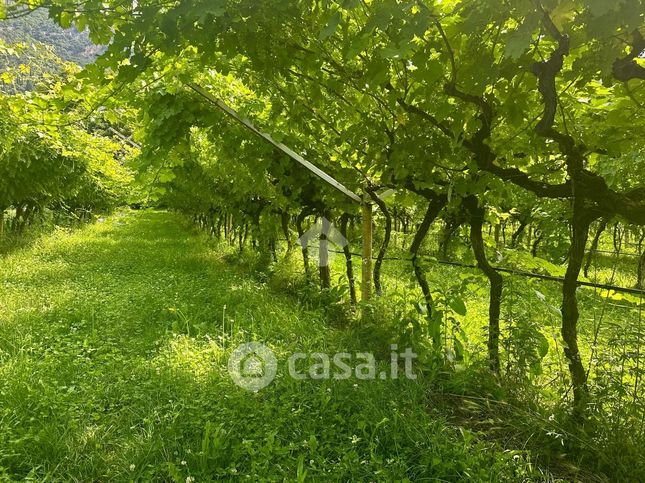 Terreno edificabile in residenziale in Località Crone