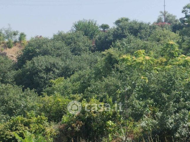 Terreno agricolo in commerciale in
