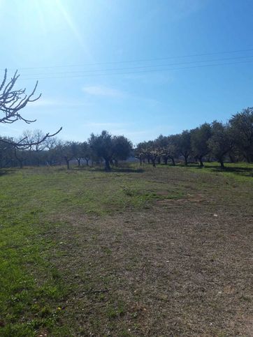 Terreno agricolo in commerciale in 