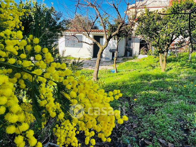 Terreno agricolo in commerciale in Via Pagliarelle 20