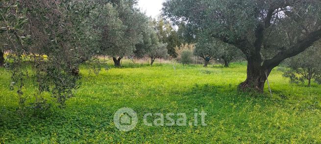 Terreno agricolo in commerciale in Contrada Gelsitello