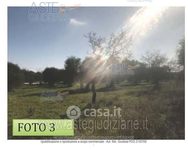 Terreno agricolo in commerciale in 