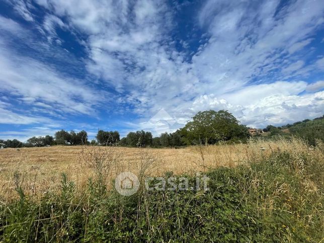 Terreno agricolo in commerciale in Strada dei Carri