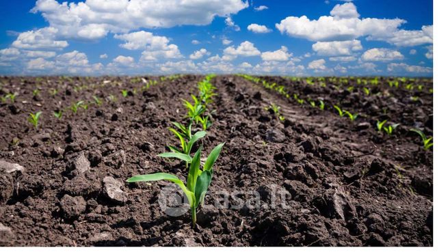 Terreno agricolo in commerciale in Via Adige