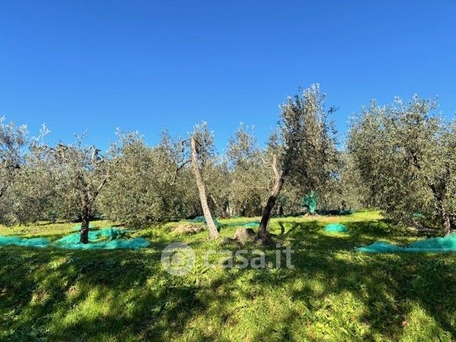 Terreno agricolo in commerciale in Via Giacomo Matteotti