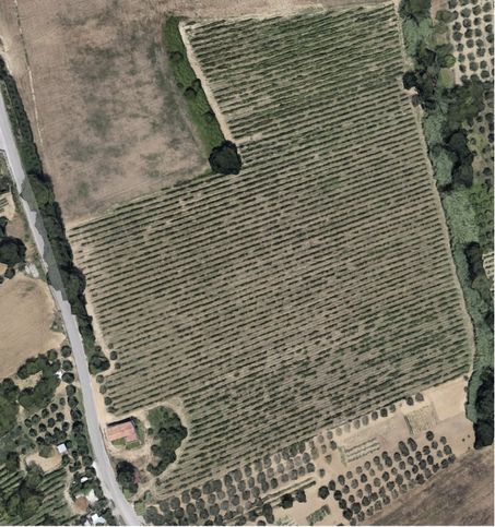 Terreno agricolo in commerciale in Contrada Spiagge 10