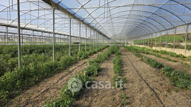 Rustico/casale in residenziale in 