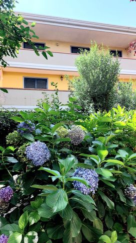 Appartamento in residenziale in Via Domenico Petochi 3