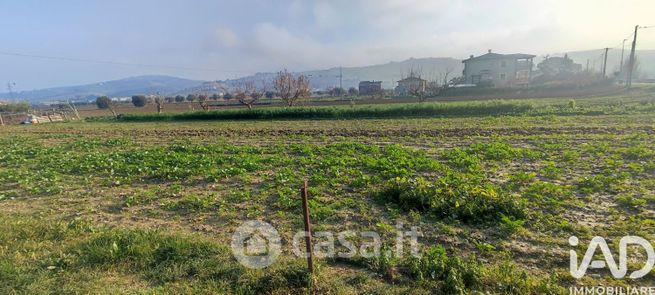 Terreno agricolo in commerciale in Contrada Piane Vomano