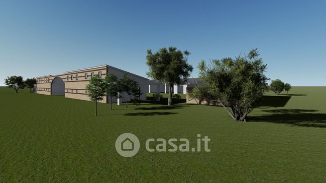 Terreno agricolo in commerciale in Via di Porta Medaglia 152 -33