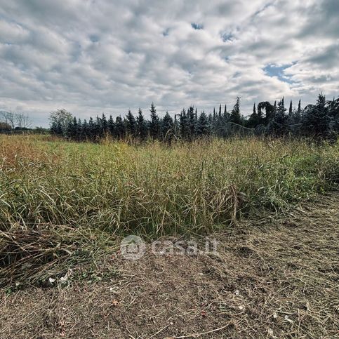 Terreno agricolo in commerciale in Strada Statale Fiorentina