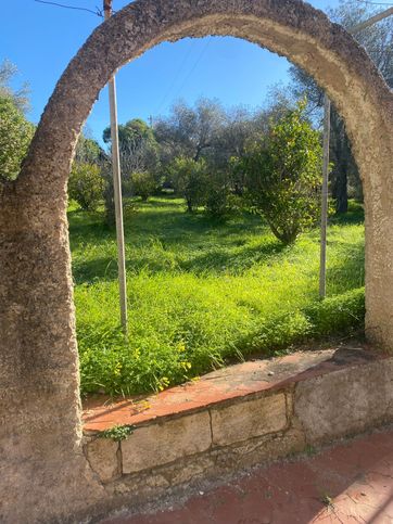 Terreno agricolo in commerciale in Strada Vicinale Maccia Crabili 62