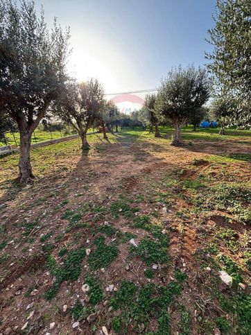 Terreno agricolo in commerciale in Strada Statale 113 Settentrionale Sicula