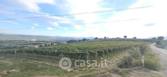 Terreno agricolo in commerciale in Borgata Colli