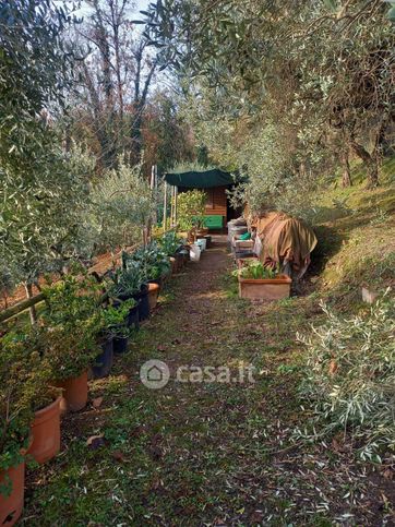 Terreno agricolo in commerciale in 