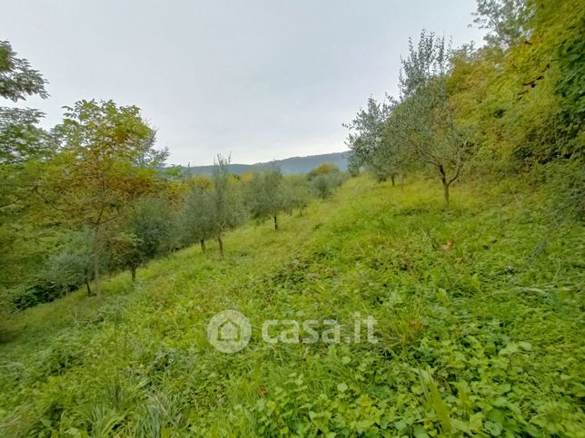 Terreno agricolo in commerciale in Via Simoncelli 47