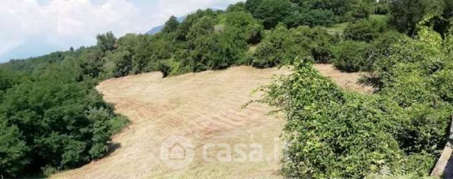 Terreno agricolo in commerciale in Via Poletti