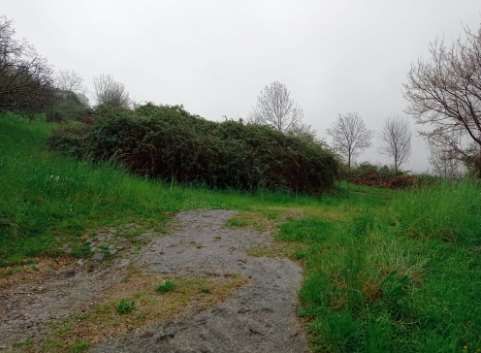 Terreno agricolo in commerciale in Via Detesalvo Lupi