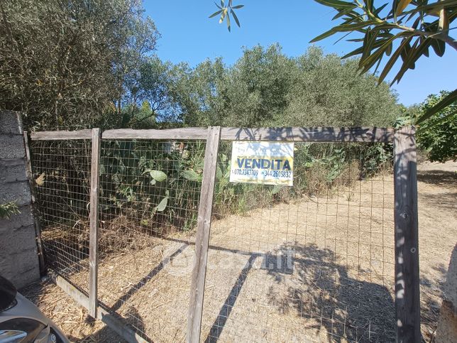 Terreno agricolo in commerciale in Via Euforbia 43