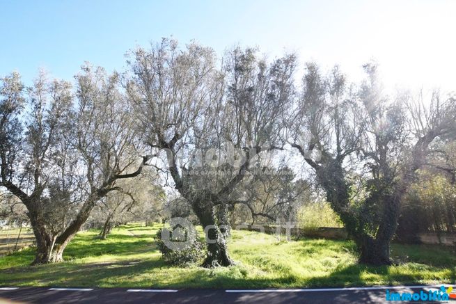 Terreno agricolo in commerciale in 