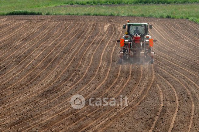 Terreno agricolo in commerciale in 