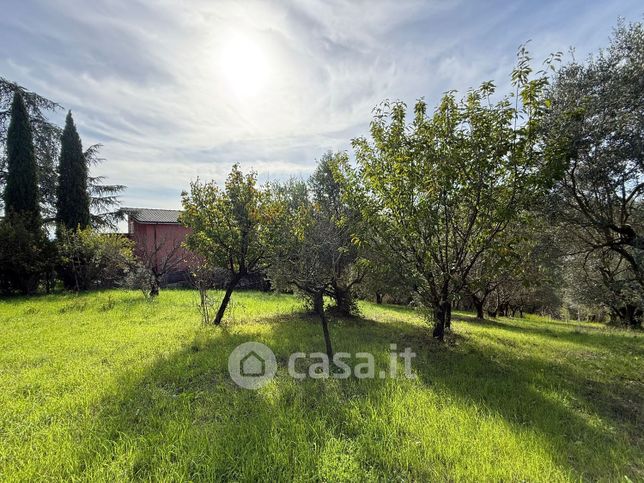 Terreno agricolo in commerciale in Via Monte del Tiro