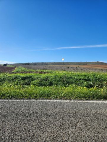 Terreno agricolo in commerciale in 