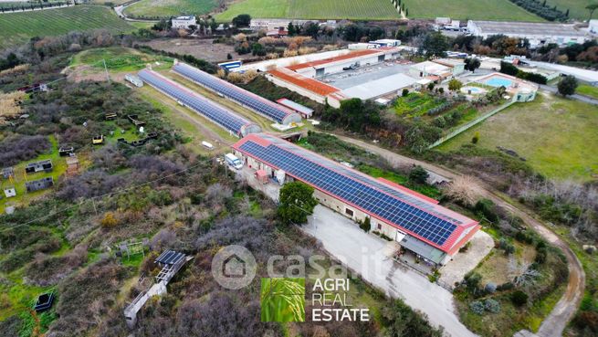 Terreno agricolo in commerciale in Via Nettunense 2 /a