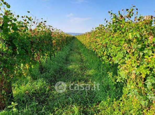 Terreno agricolo in commerciale in Via Patrioti