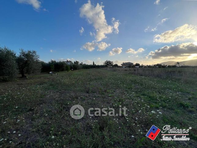 Terreno agricolo in commerciale in Via Vicinale Ovello