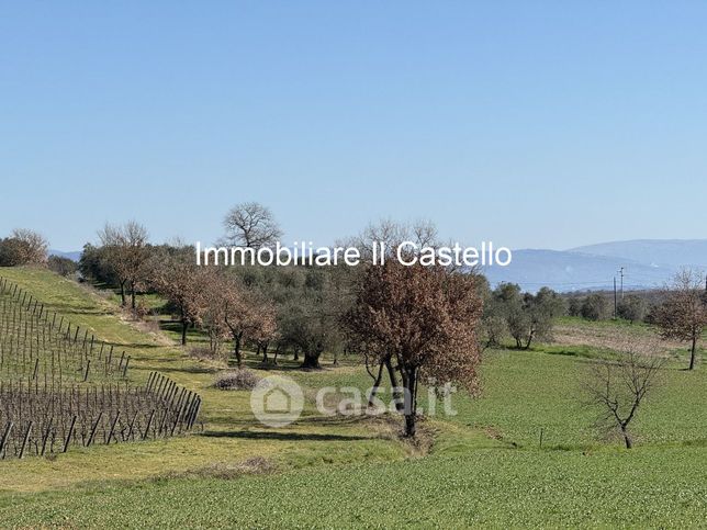 Terreno edificabile in residenziale in Strada Communale dei Landrucci